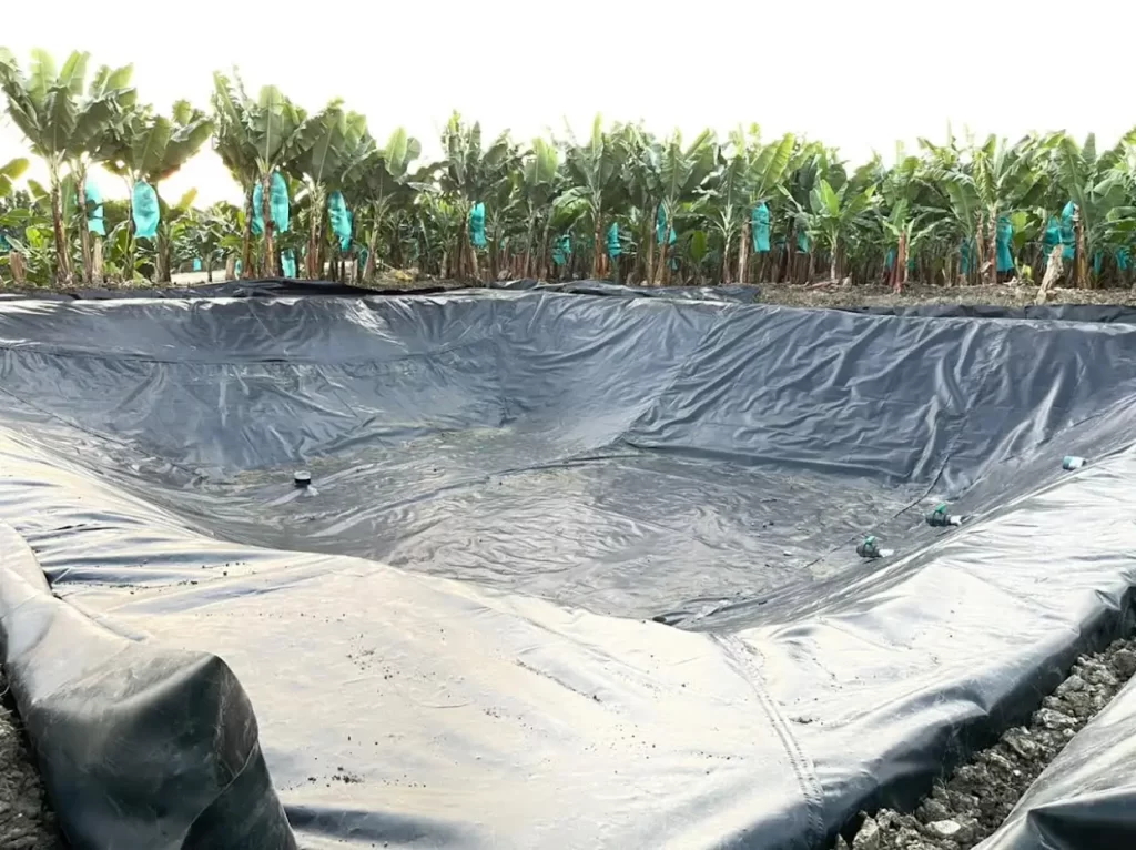 aplicacion geomembrana bananera 2